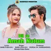 About Dil Re Amah Nutum Song